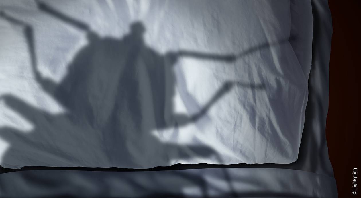 Foto: Auf helles Betteug fällt der Schatten einer riesig wirkenden Bettwanze.